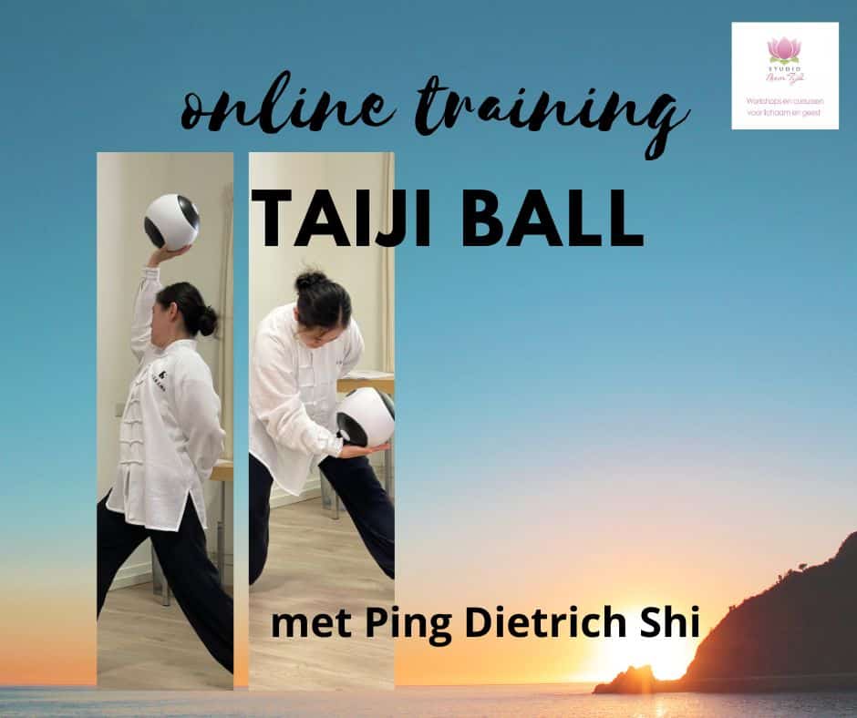 Taiji Ball