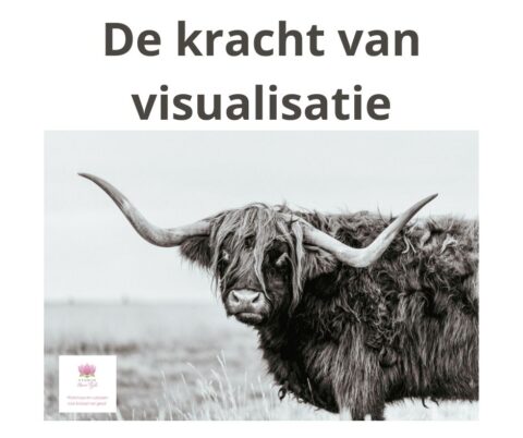 De Kracht van Visualisatie in Tai Chi en Qigong - Studio Neem Tijd
