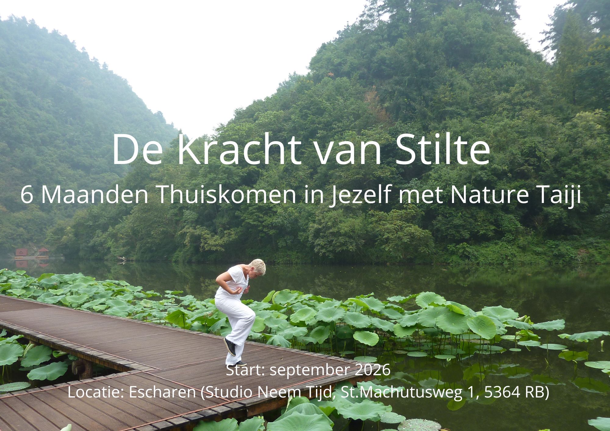 De Kracht van Stilte – 6 Maanden Thuiskomen in Jezelf met Nature Taiji